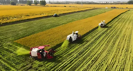 BDS/GNSS High-Precision Positioning for Autonomous Farming: Boost Efficiency & Yield