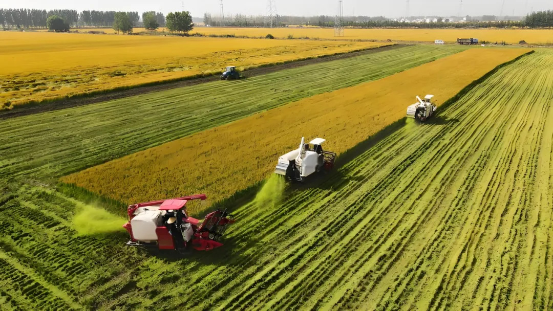 BDS/GNSS High-Precision Positioning for Autonomous Farming: Boost Efficiency